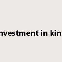 investment in kind是什么意思