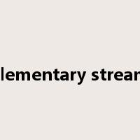 elementary stream是什么意思