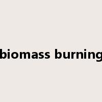 biomass burning是什么意思