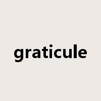 graticule是什么意思