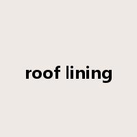 roof lining是什么意思
