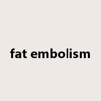 fat embolism是什么意思