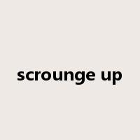 scrounge up是什么意思