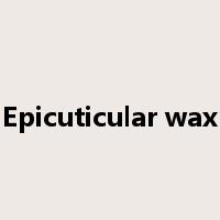 Epicuticular wax是什么意思