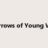The Sorrows of Young Werther是什么意思
