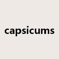 capsicums是什么意思