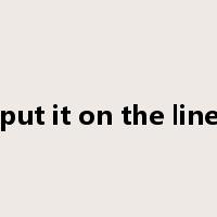 put it on the line是什么意思