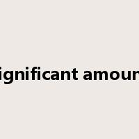 significant amount是什么意思