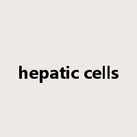 hepatic cells是什么意思