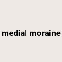 medial moraine是什么意思
