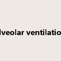 alveolar ventilation是什么意思