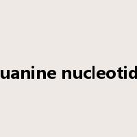 guanine nucleotide是什么意思