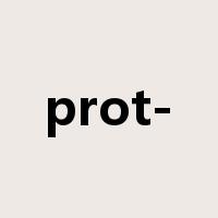 prot-是什么意思