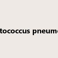 streptococcus pneumoniae是什么意思