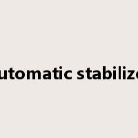 automatic stabilizer是什么意思