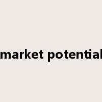 market potential是什么意思