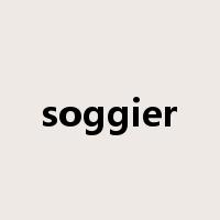 soggier是什么意思