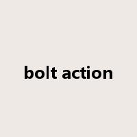 bolt action是什么意思