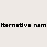 alternative name是什么意思