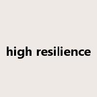 high resilience是什么意思