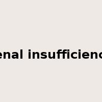 renal insufficiency是什么意思