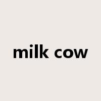 milk cow是什么意思