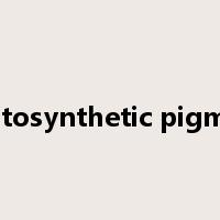 photosynthetic pigment是什么意思