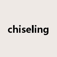 chiseling是什么意思