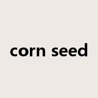 corn seed是什么意思