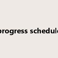progress schedule是什么意思