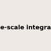 large-scale integration是什么意思