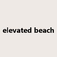elevated beach是什么意思