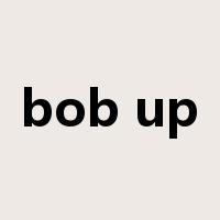 bob up是什么意思
