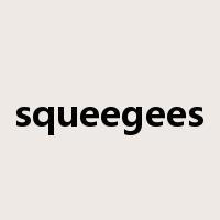 squeegees是什么意思