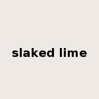 slaked lime是什么意思