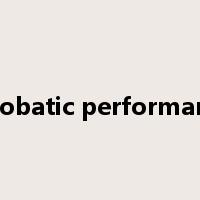 acrobatic performance是什么意思