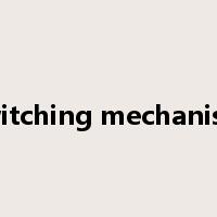switching mechanism是什么意思