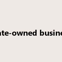 state-owned business是什么意思