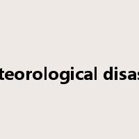 meteorological disaster是什么意思