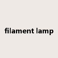 filament lamp是什么意思