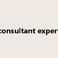 consultant expert是什么意思
