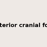 posterior cranial fossa是什么意思