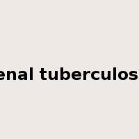renal tuberculosis是什么意思