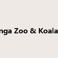 Taronga Zoo & Koala Park是什么意思