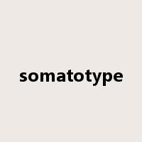 somatotype是什么意思