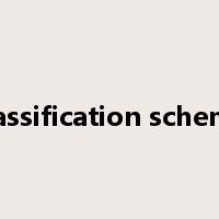 classification scheme是什么意思