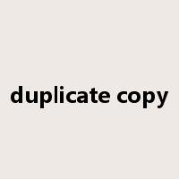 duplicate copy是什么意思