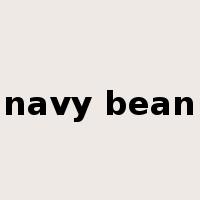 navy bean是什么意思