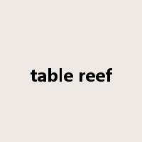table reef是什么意思