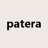 patera是什么意思